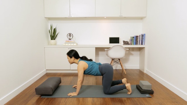 Flow Yoga: Pre-Natal Ab and Arm Routine (10 min) — with Quyhn Mi