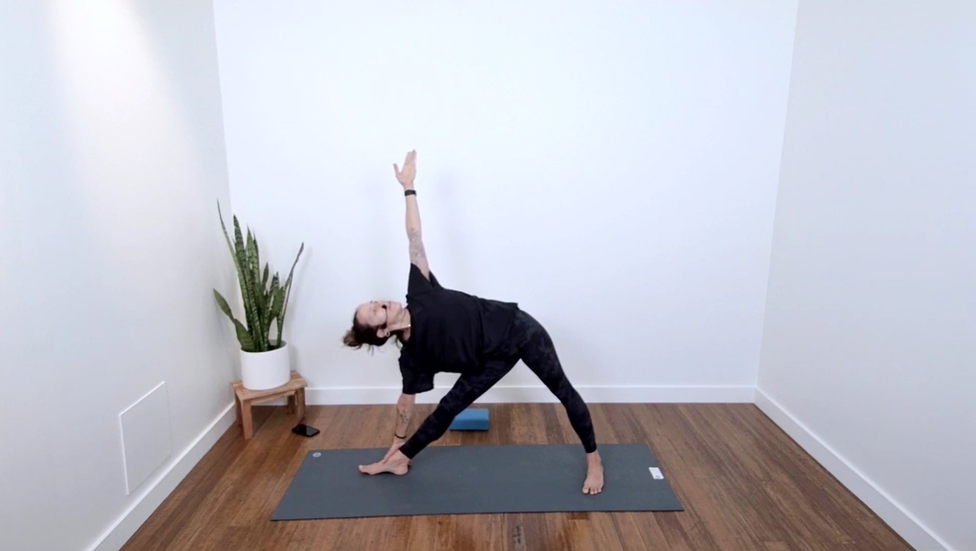 Live Replay: Power for Reflection & Clarity (60 min) - with Mari Dickey