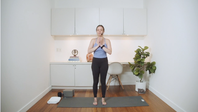  Reflect & Flow Vinyasa (35 min) - with Sarah Fuson