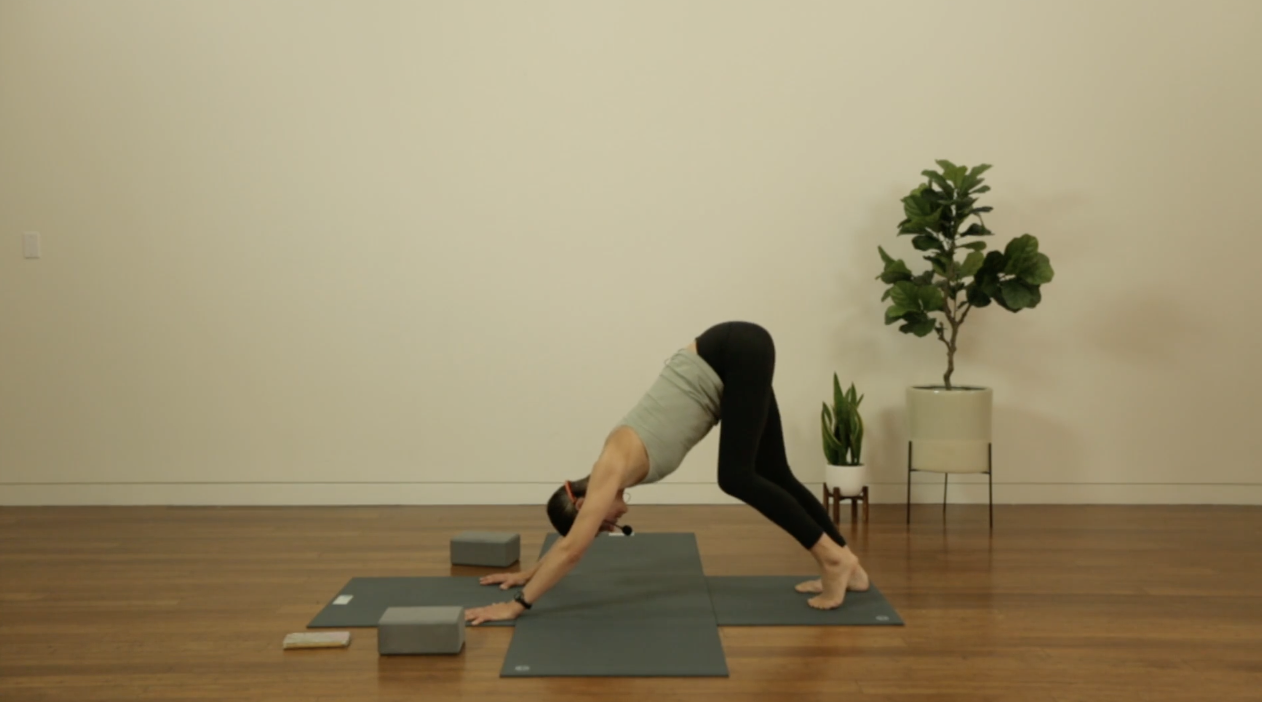 Live Replay: Gentle Beginner Friendly Hatha (60 min) - Lisa Sanson