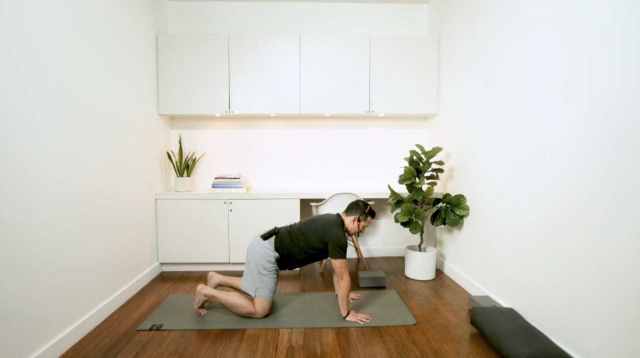 Slow Burn: Vitality & Ease (45 min) - with Miguel Lopez De Lara