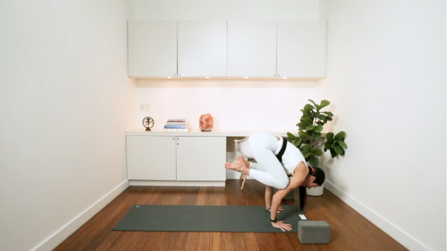 All Levels Power Hour (50 min) - with Samaneh Asgharzadeh