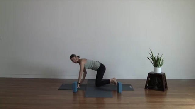 Live Replay: Hatha Yoga for Balance (60 min) - with Lisa Sanson