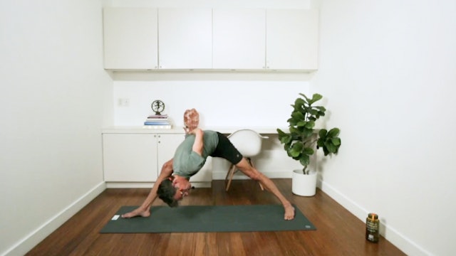 Stabilizing Power Yoga (50 min) - with Stephen Ewashkiw