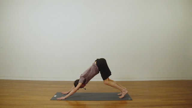 Beginner Yoga: Intro to Flow (50 min) - with Stephen Ewashkiw