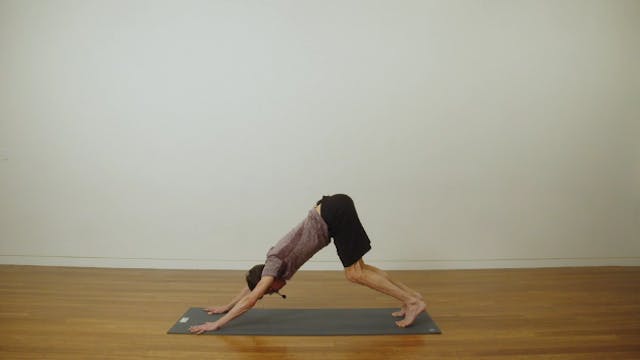 Beginner Yoga: Intro to Flow (50 min)...