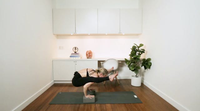 Firefly Power Flow (75 min) - with Ja...