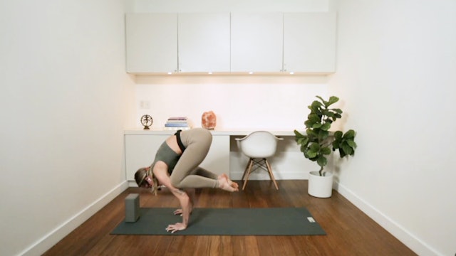 Playful Power with Arm Balancing (45 min) - with Mikaela Millington