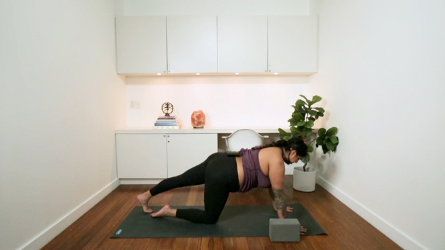 Hatha for Low Back Pain (30 min) - with Aaliya Noorani