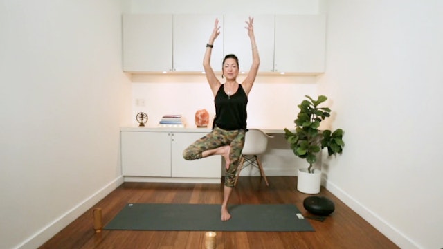 Hatha Yoga for All Levels (35 min) - with Hillary Keegan