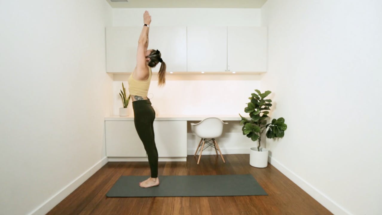 Bound to Fly Flow (55 min) with Vanessa Bourget Vanessa Bourget