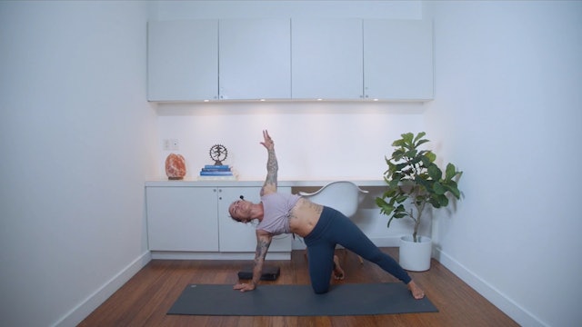Flow Yoga Sushumna Nadi Practice (60 min) - with Crystal Rainbow Borelli