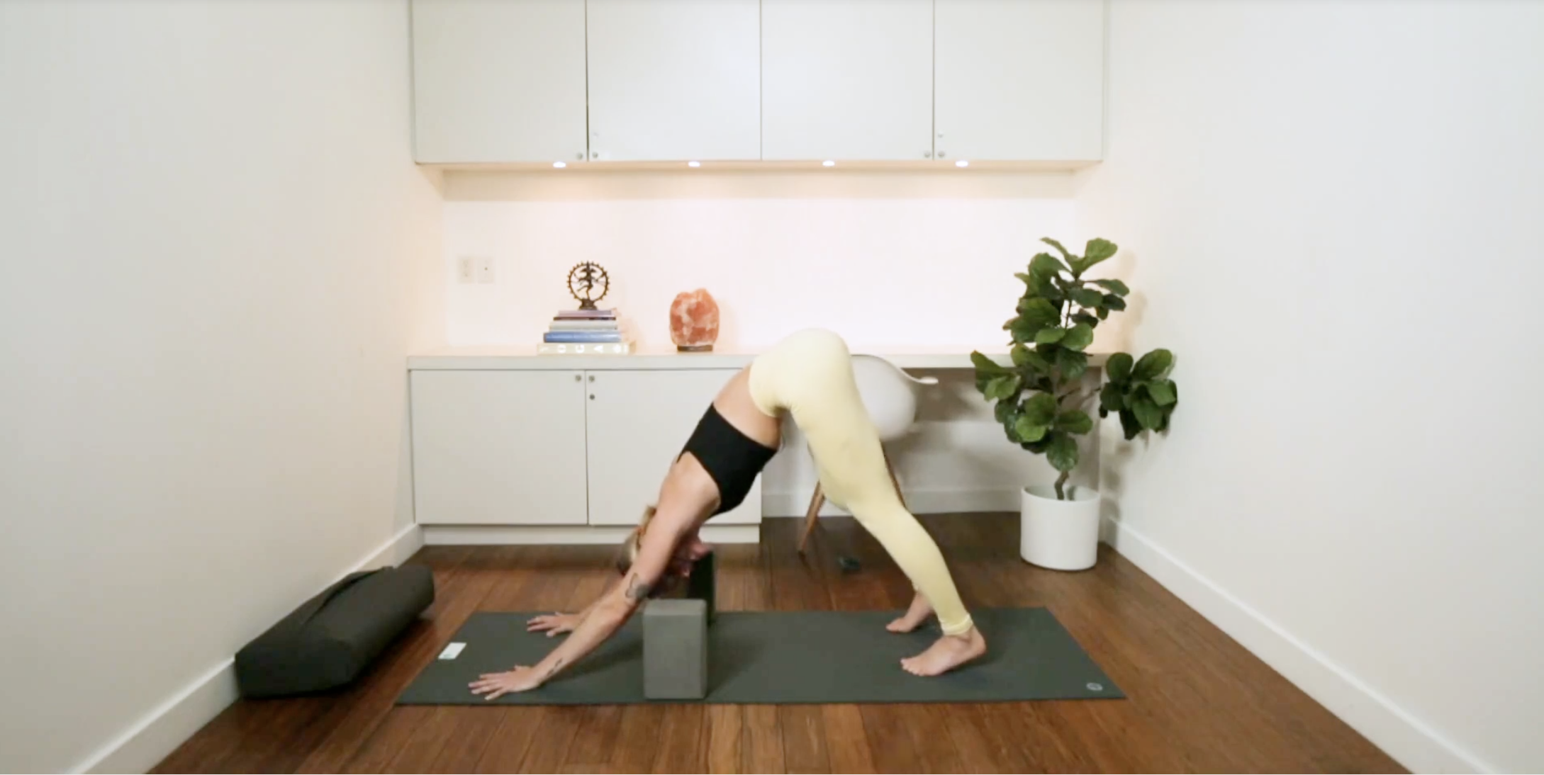 Express Fluid Slow Flow (30 min) - with Mikaela Millington