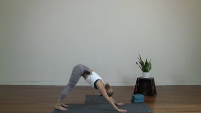 Live Replay: Flow for Mind-Body Conne...
