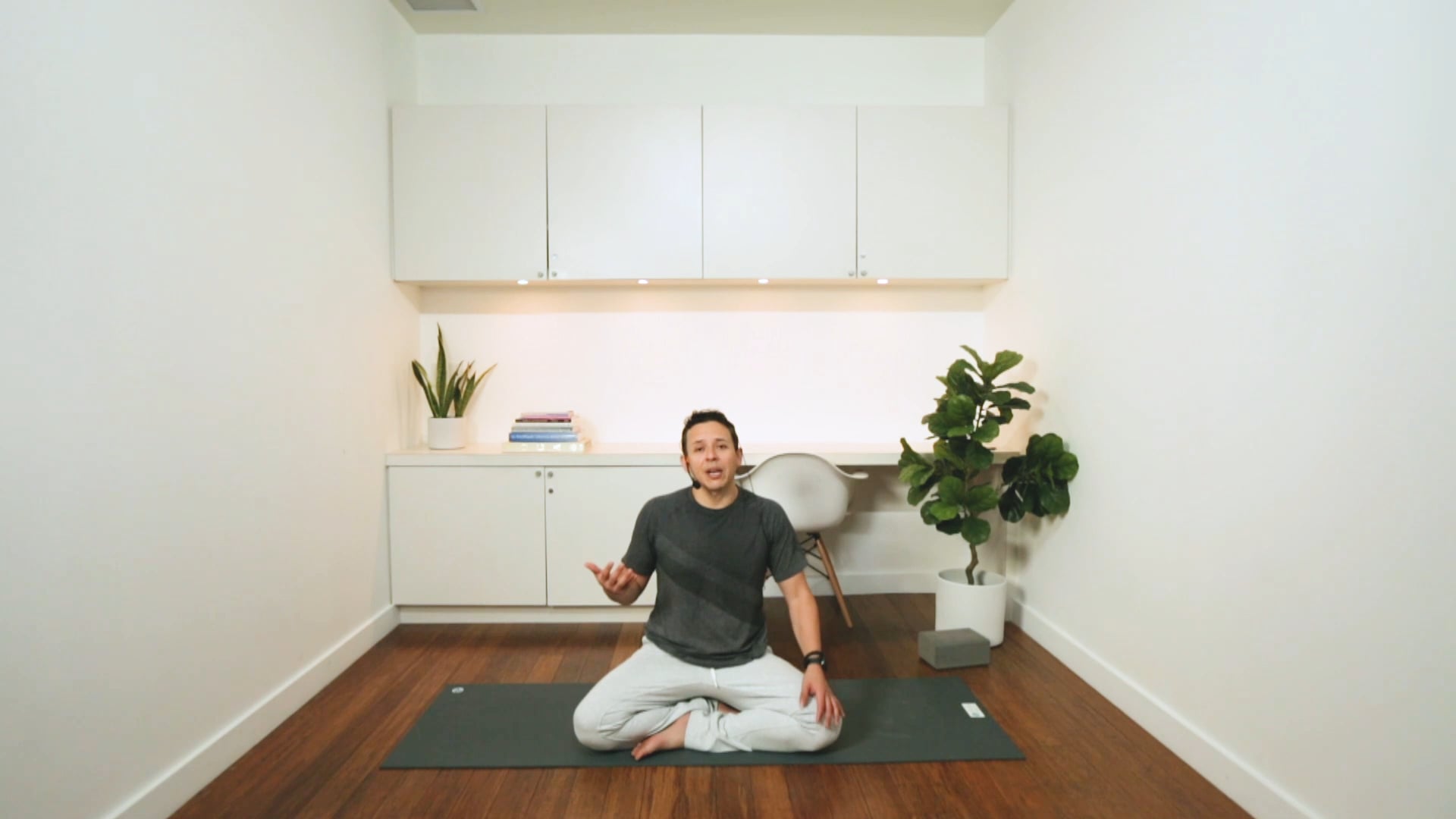 Yoga Nidra for General Healing (30 min) - with Miguel Lopez De Lara