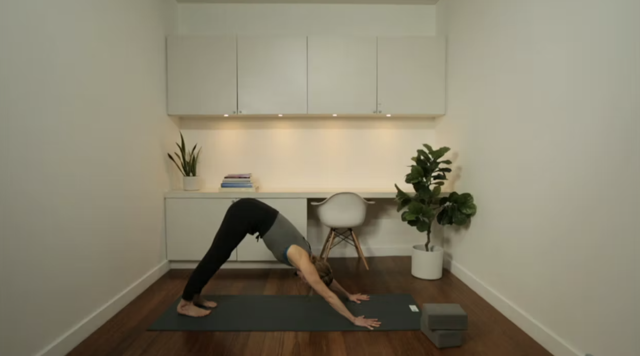 Live Replay: Hatha for Stability (60 min) - with Jayme Burke