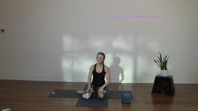 Live Replay: Full Body Core Strengthening Flow (60 min) - with Aili Storen