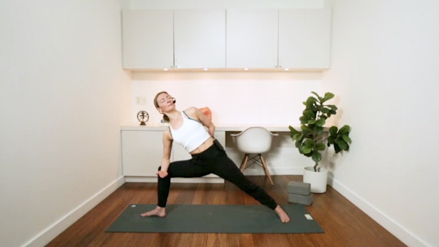  Wake the Spine Flow (60 min) - with Jayme Burke