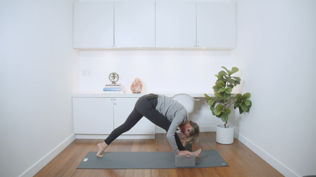 Earth Inspired Grounding Hatha Yoga (60 min) - with Lisa Sanson