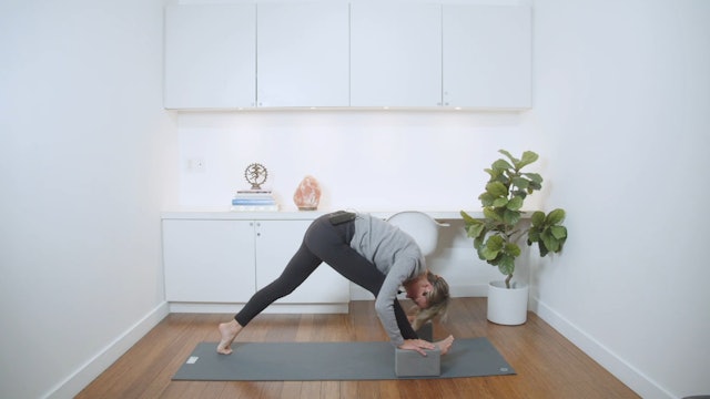 Earth Inspired Grounding Hatha Yoga (60 min) - with Lisa Sanson