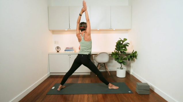 Flow for Acceptance and Commitment (50 min) - with Lisa Sanson