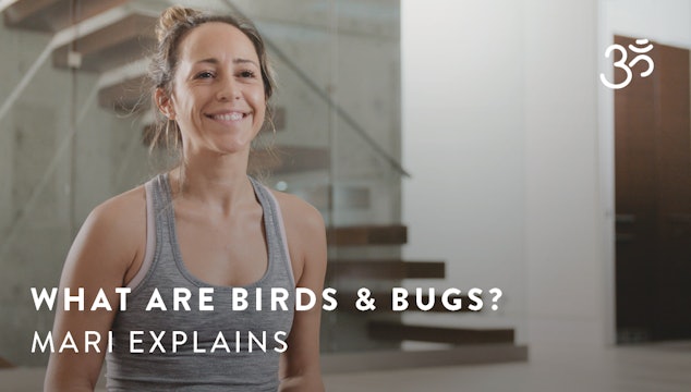 What are birds and bugs? Mari Dickey explains.