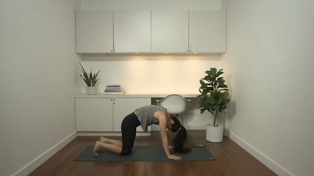Live Replay: Flow Yoga (60 min) - wit...