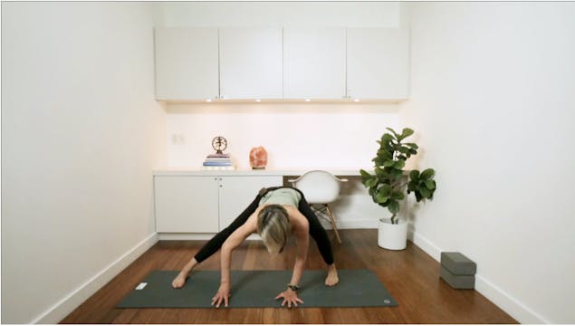 Mindful Hatha (30 min) - with Lisa Sa...