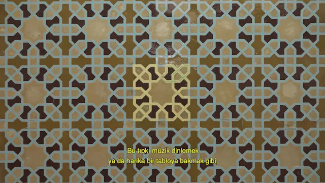 Secrets of the Surface Turkish Subtitles (For Institutional Purchase)