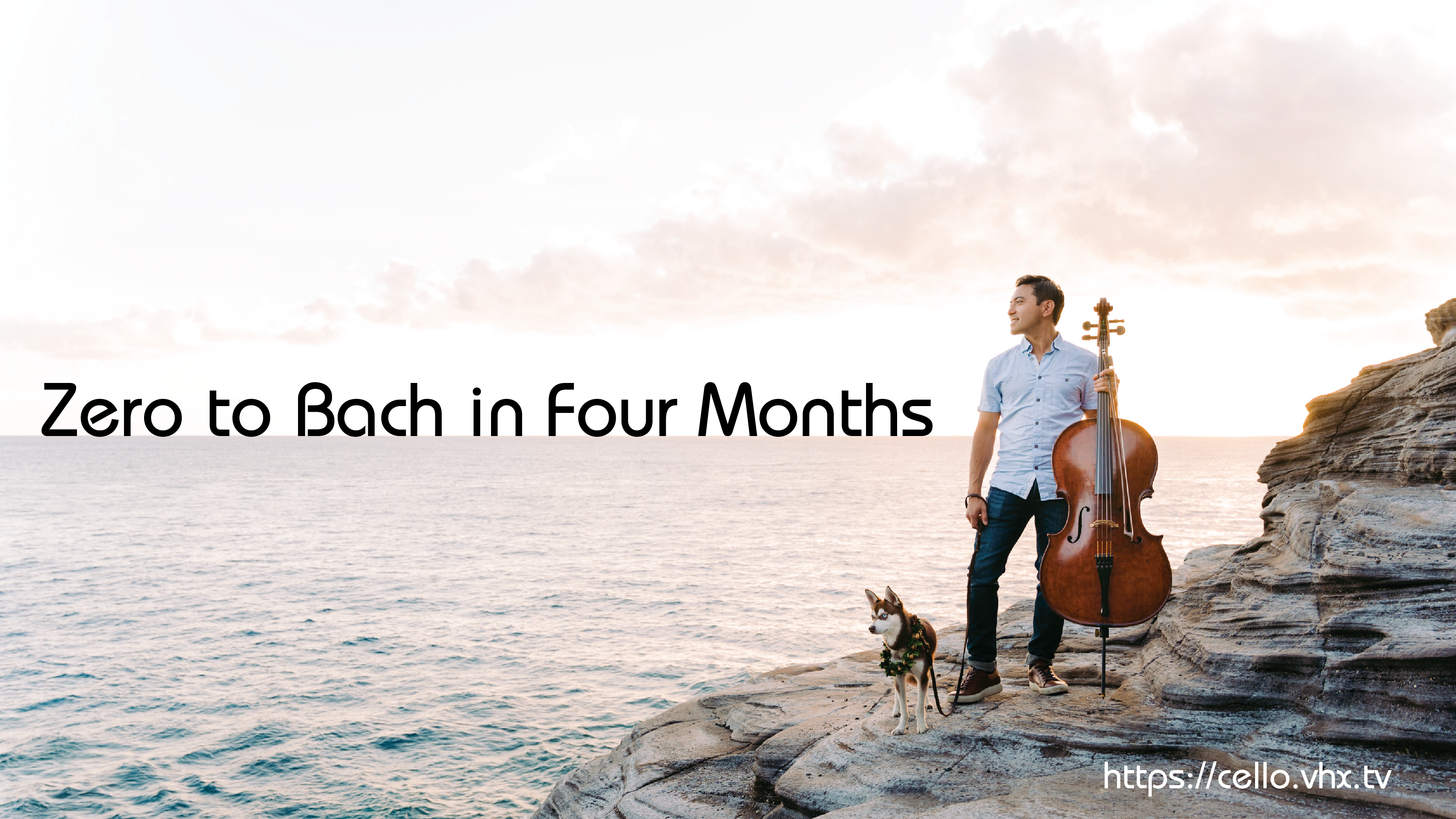 Full Video Lessons Library