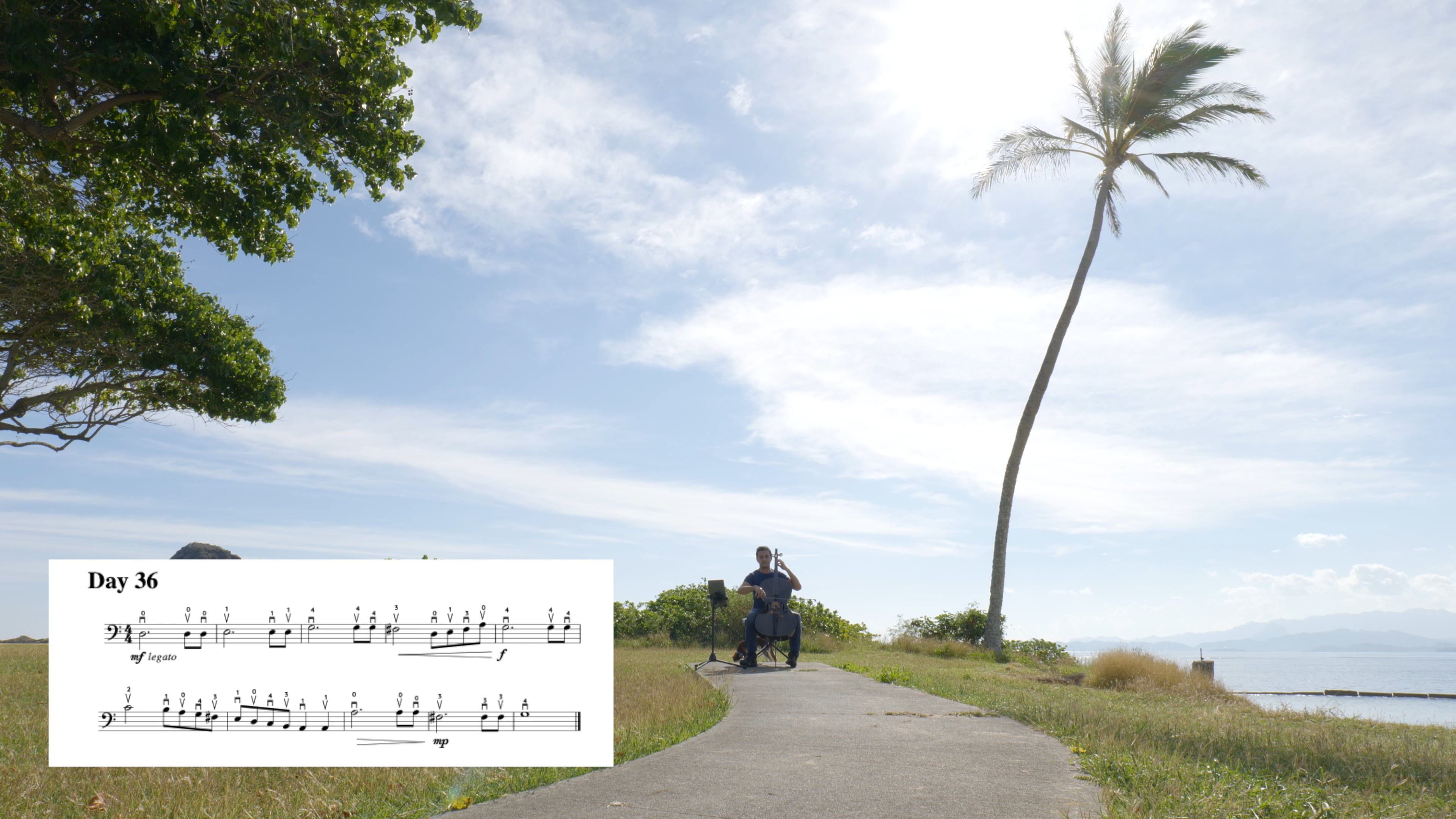 Day 36 Dotted notes and Bow control