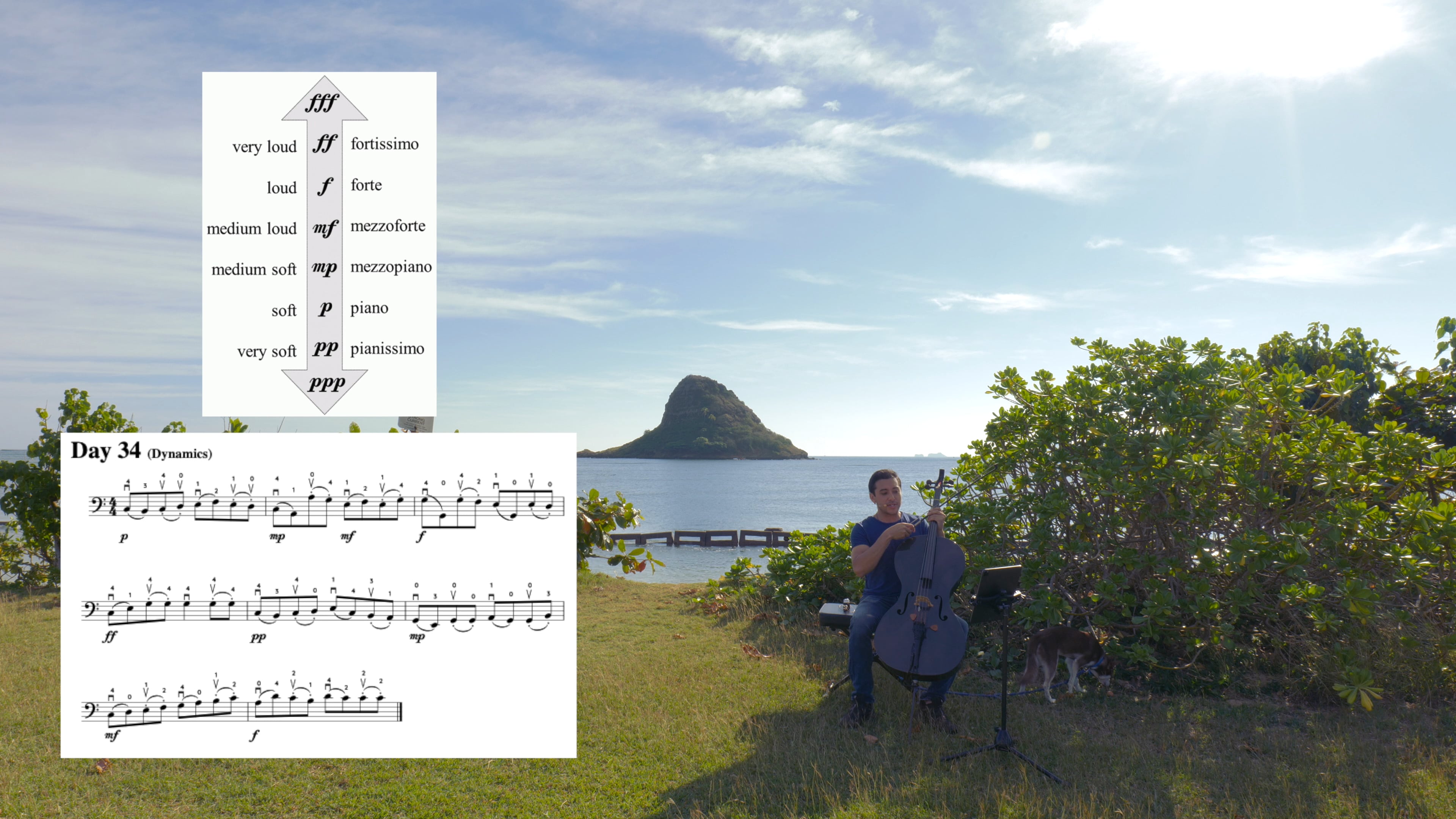 Day 34 Intro to Dynamics