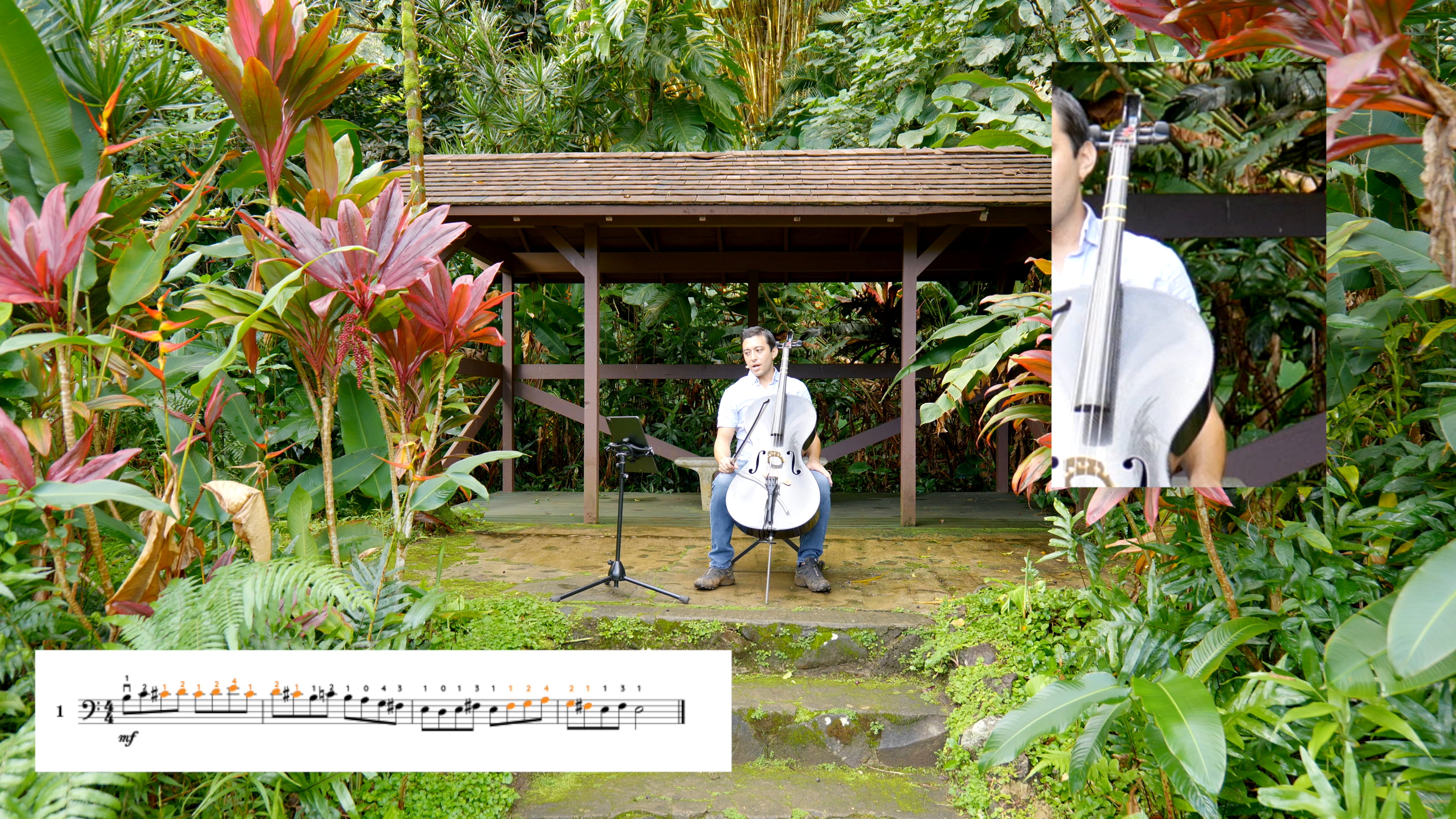 Day 52 Shifting (3:17)