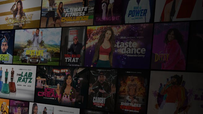 Image associated with The Zeus Network