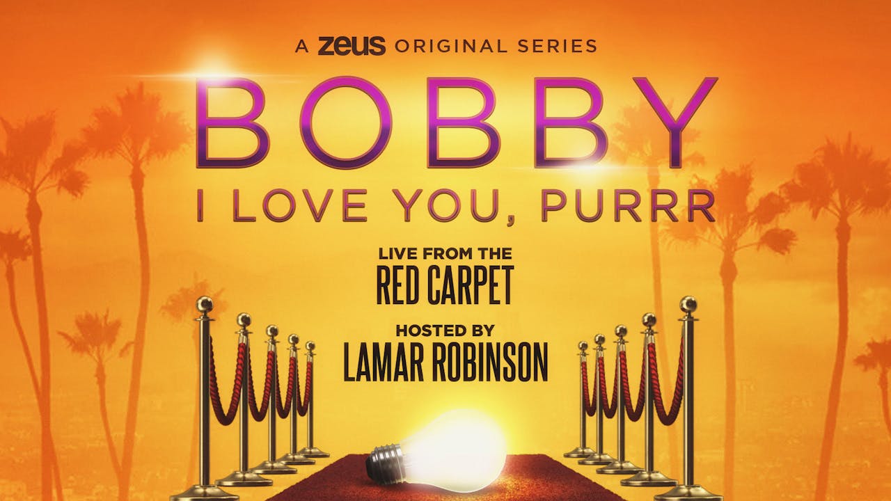 Bobby, I Love Your Purrrr, Live Stream Zeus