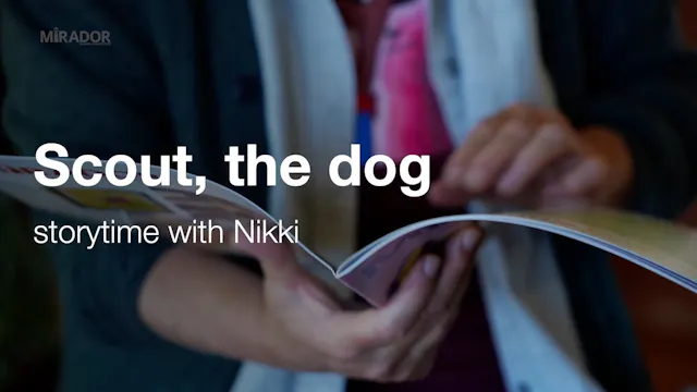 Scout the Dog – Mirador