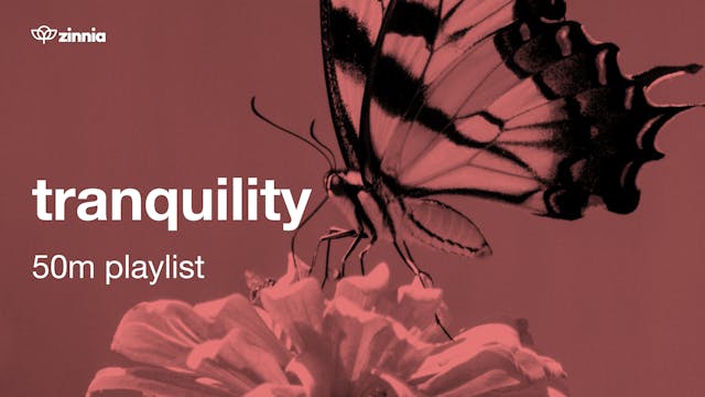 Tranquility - 50m Playlist