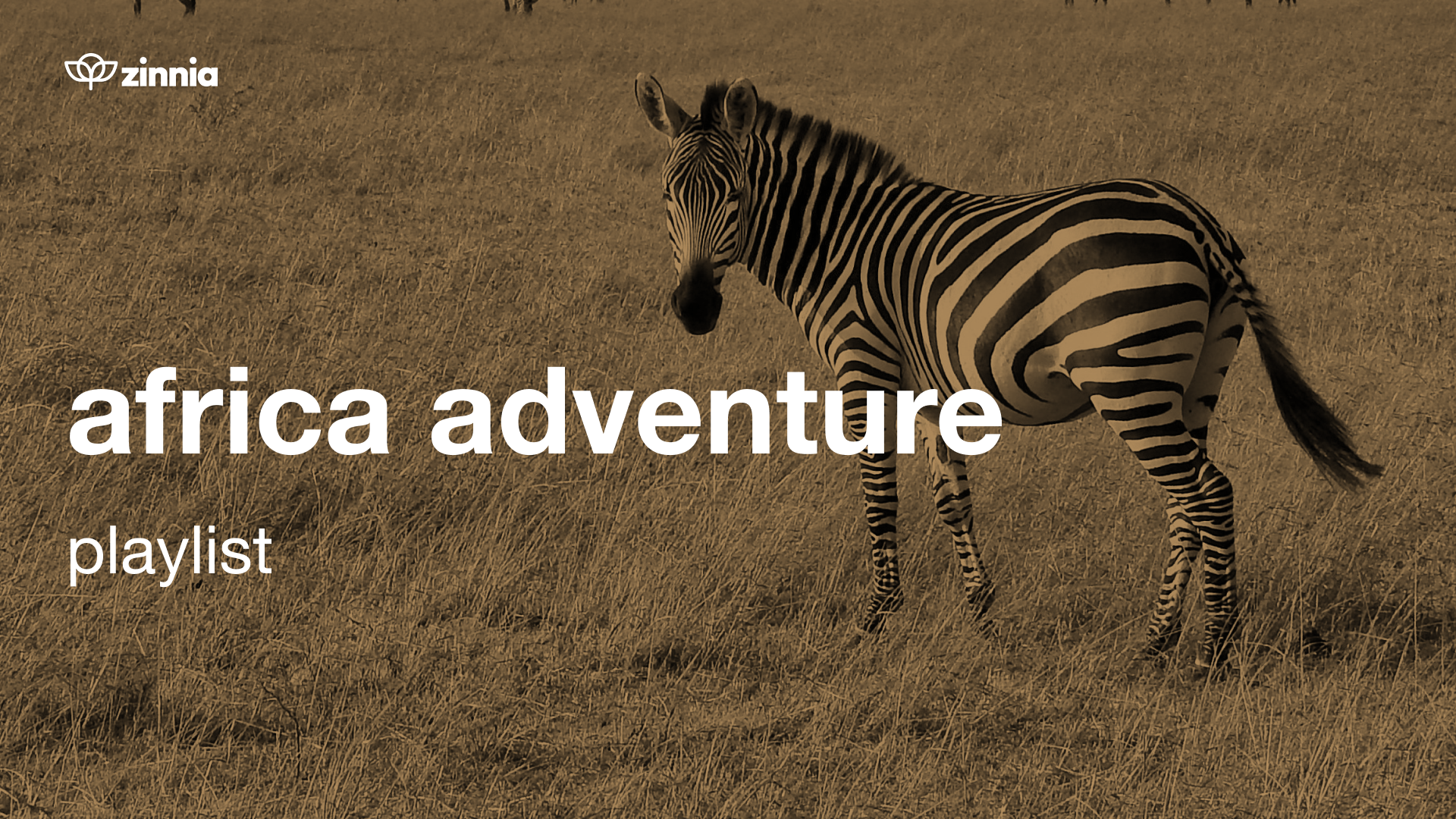 Africa Adventure Playlist