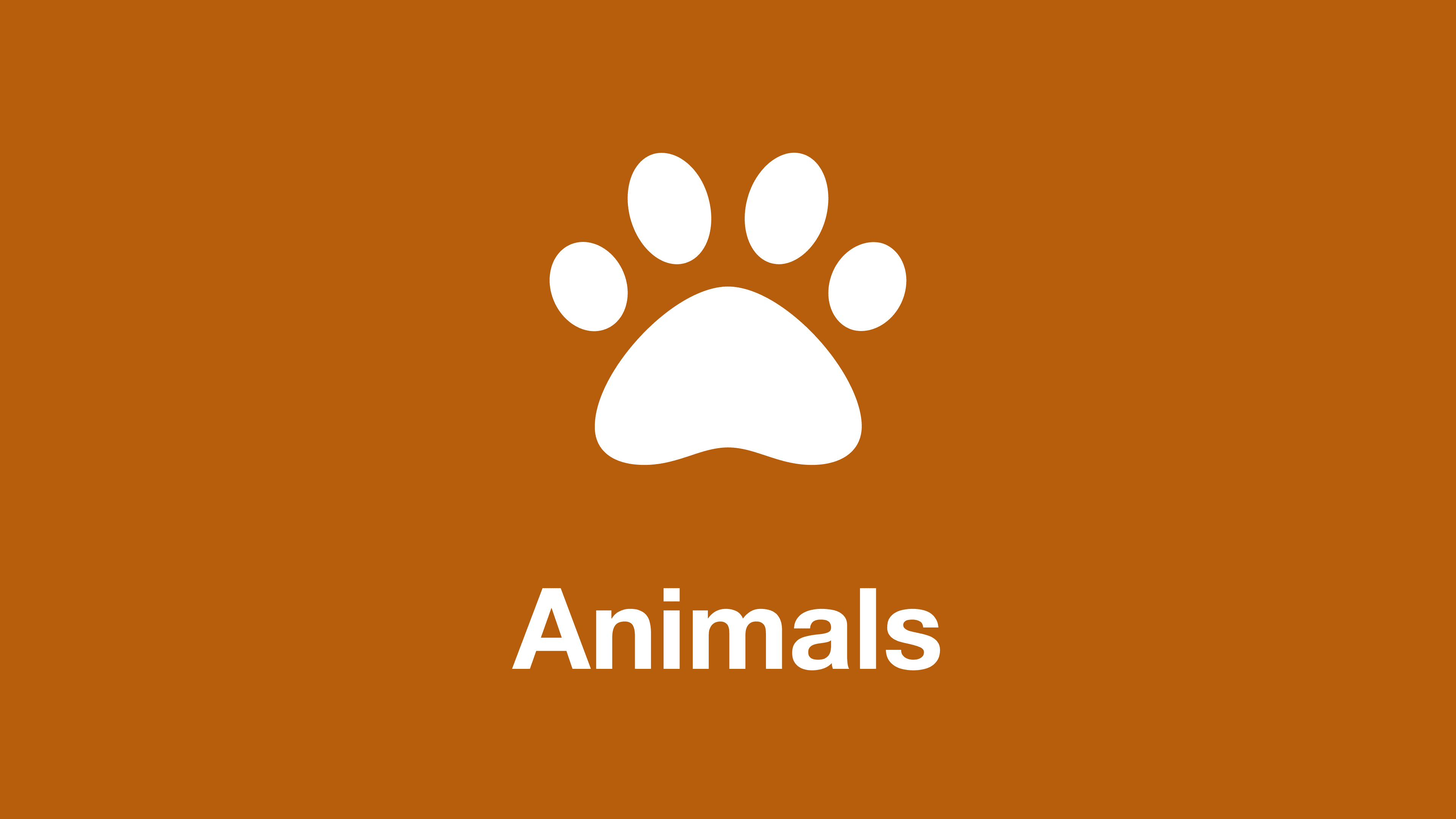 Animals