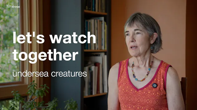 Watch Undersea Creatures with Allyson