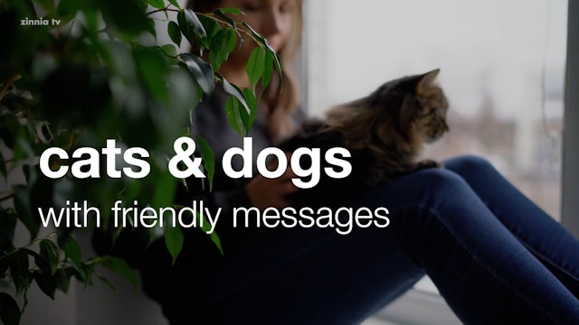 Cats & Dogs with Friendly Messages