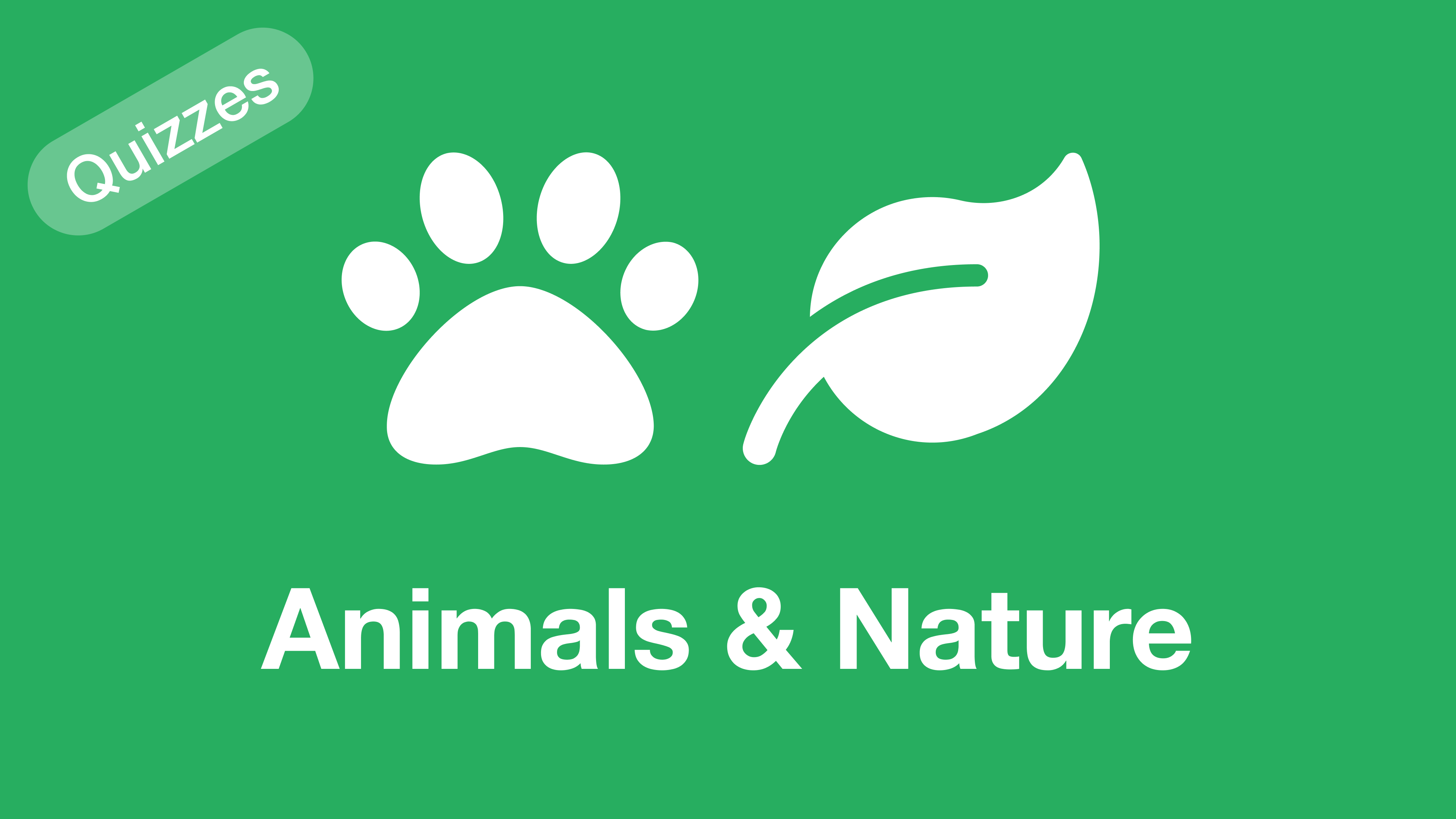 Animals and Nature Quizzes