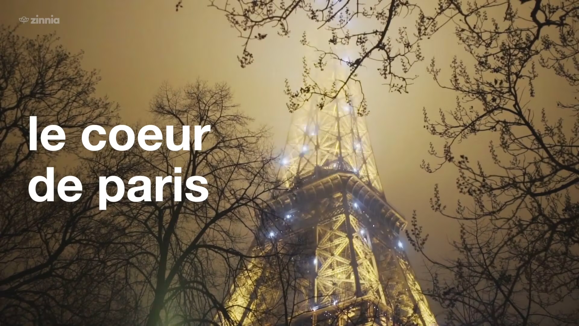 French • Le Coeur de Paris