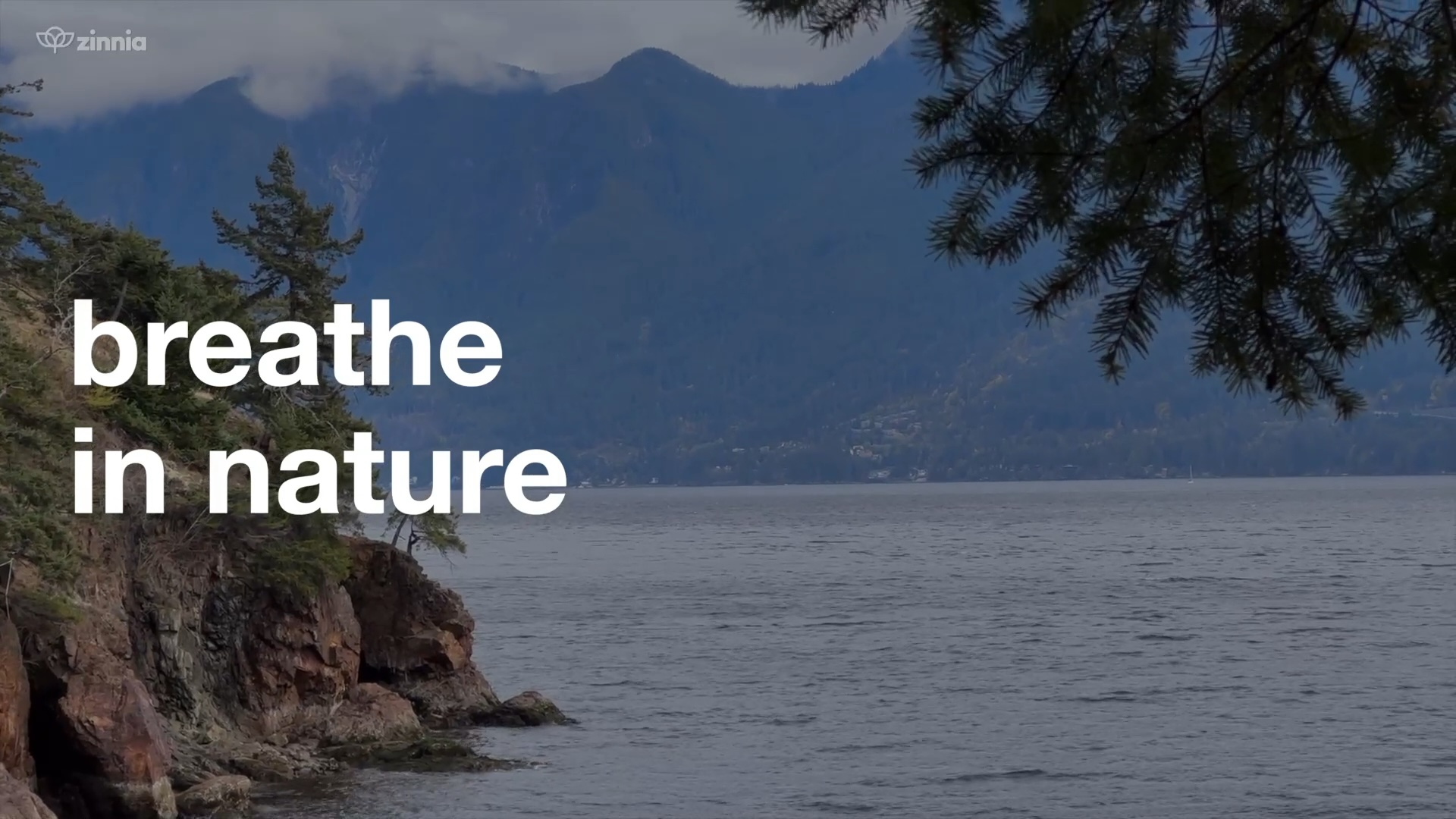 Breathe in Nature