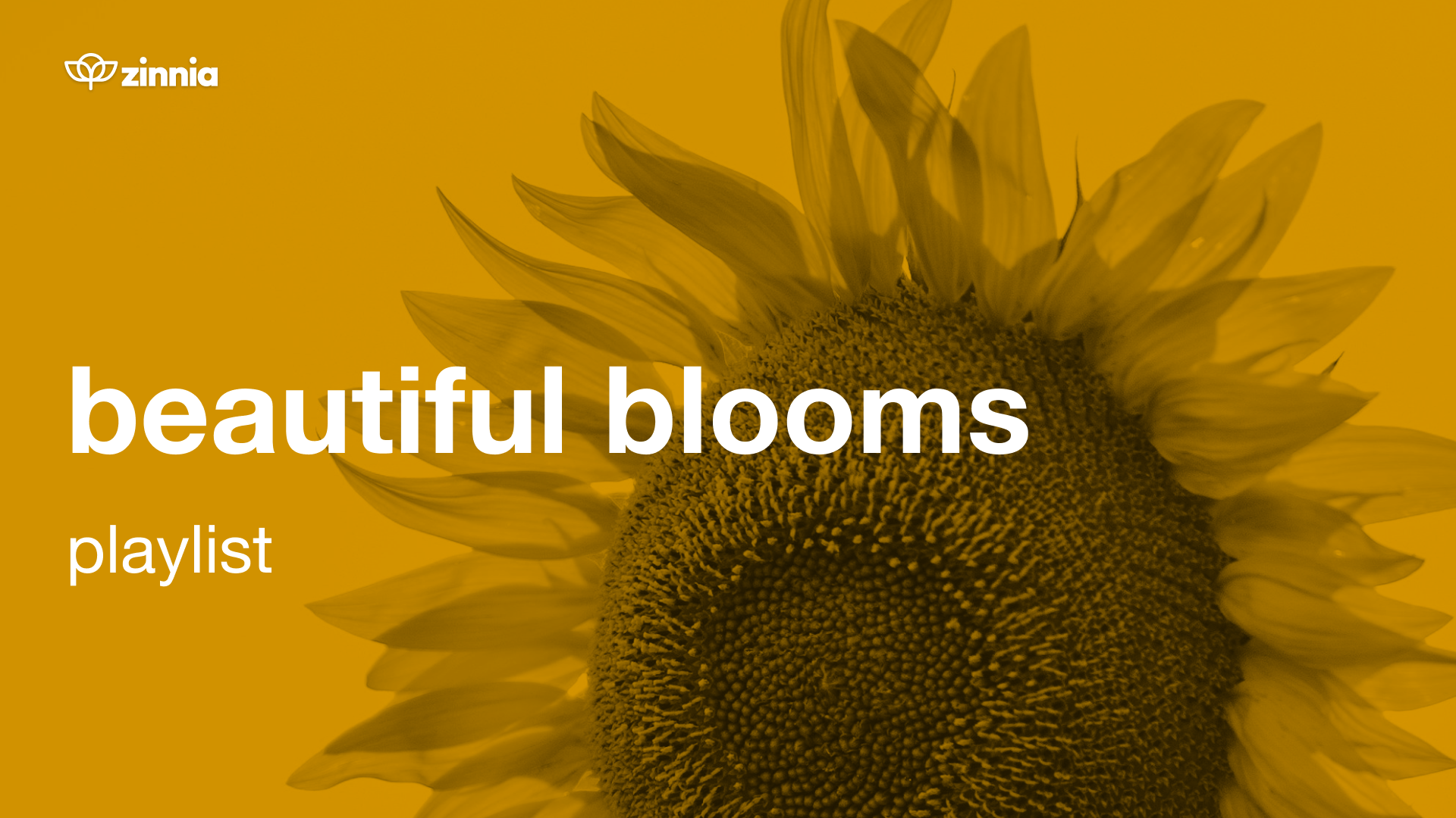 Beautiful Blooms Playlist