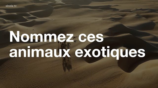 French • Nommez ces Animaux Exotiques...