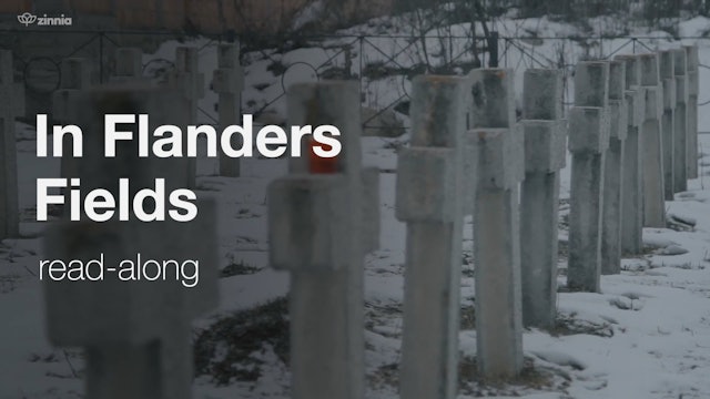 In Flanders Fields - Read Along Poem