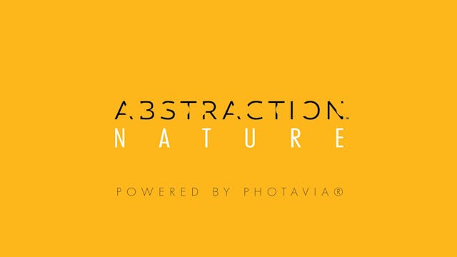 Abstraction Episode 3