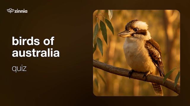 Birds of Australia Quiz