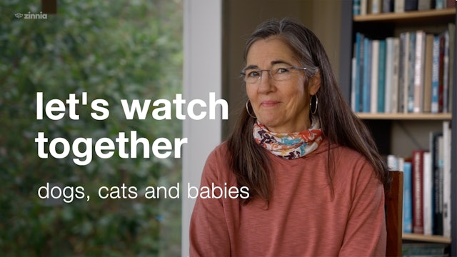 Let's Watch Together - Dogs, Cats and Babies